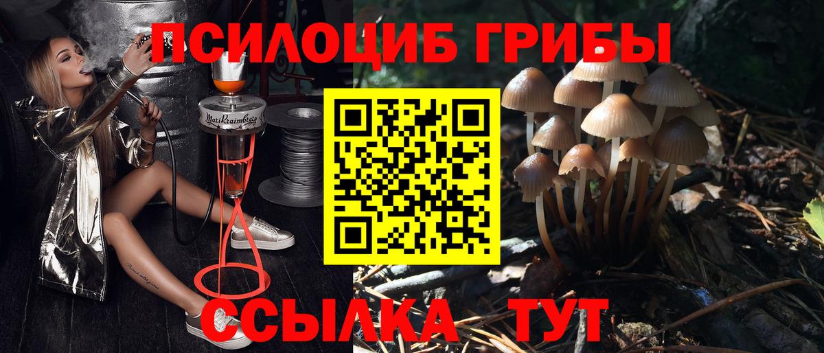 Псилоцибиновые грибы прущие грибы Темрюк