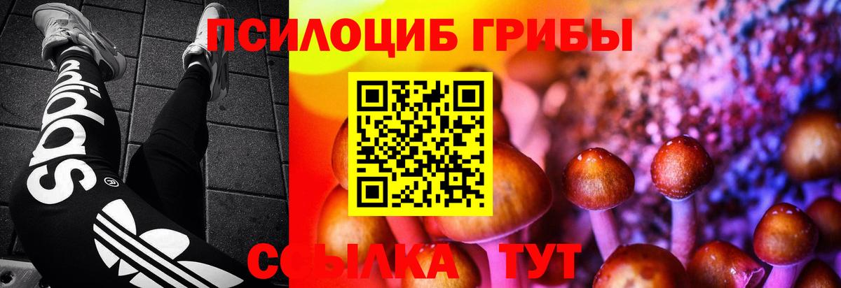 Темрюк  Галлюциногенные грибы GOLDEN TEACHER  Вход с VPN 
